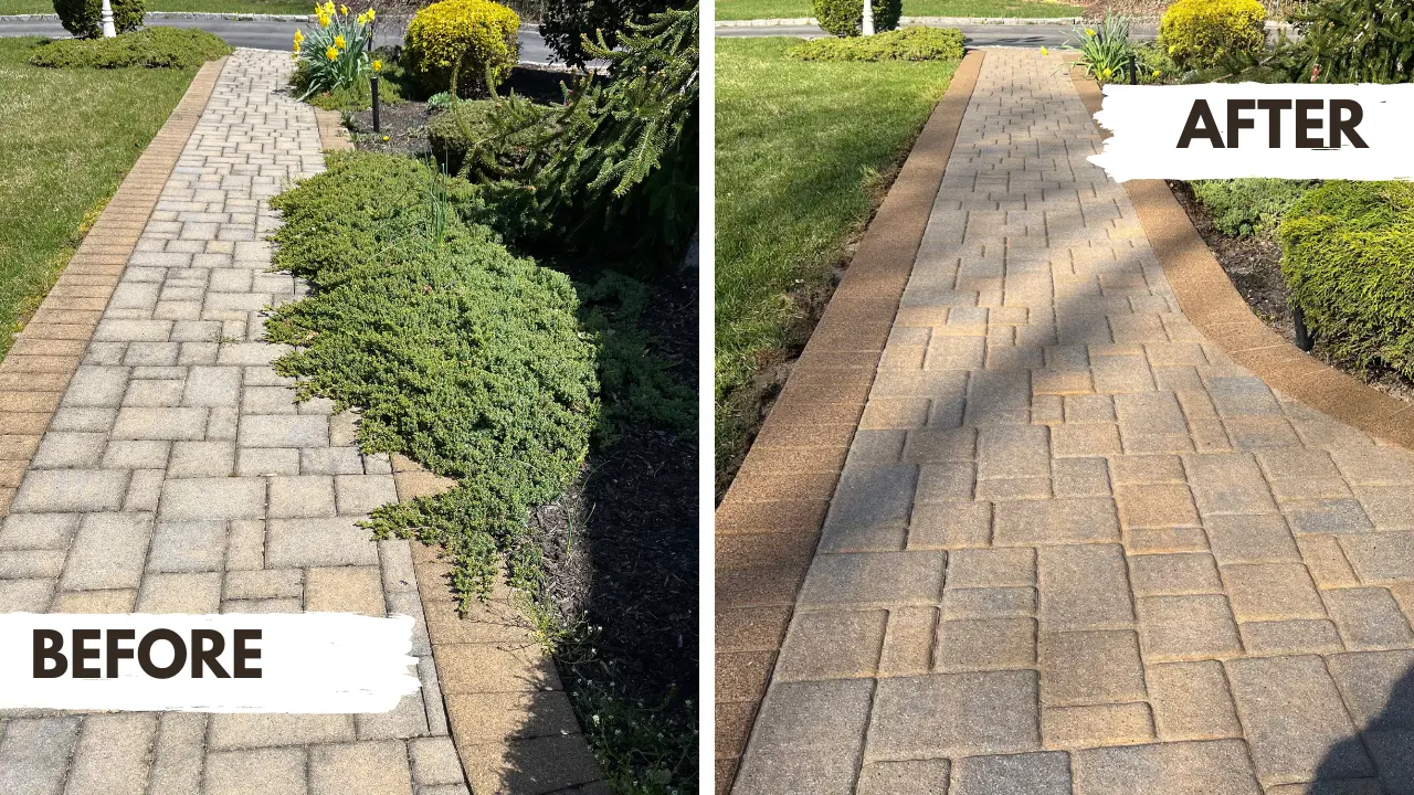 Before and after of a paver walkway restoration