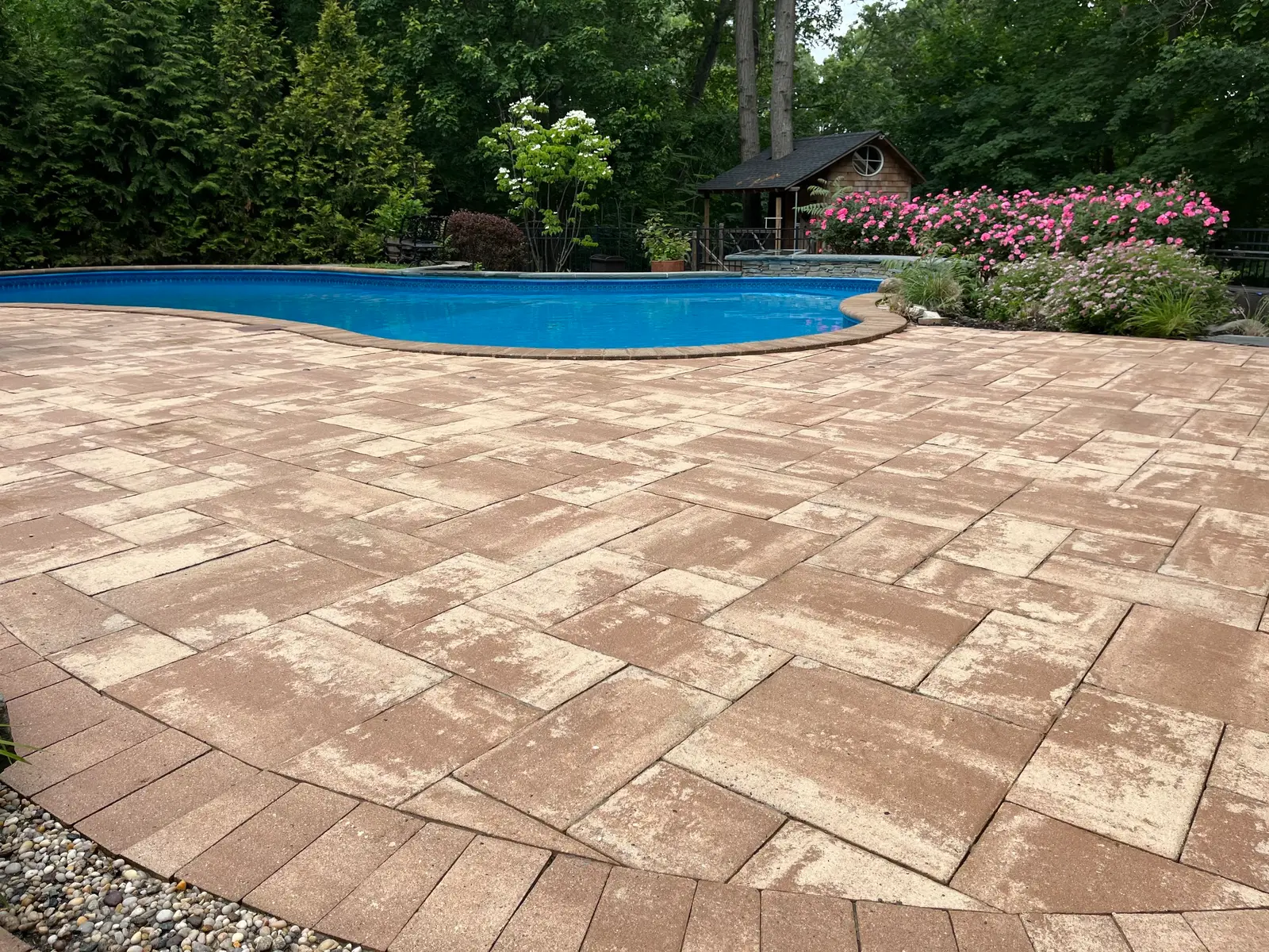 Tan paver pool deck after deep cleaning