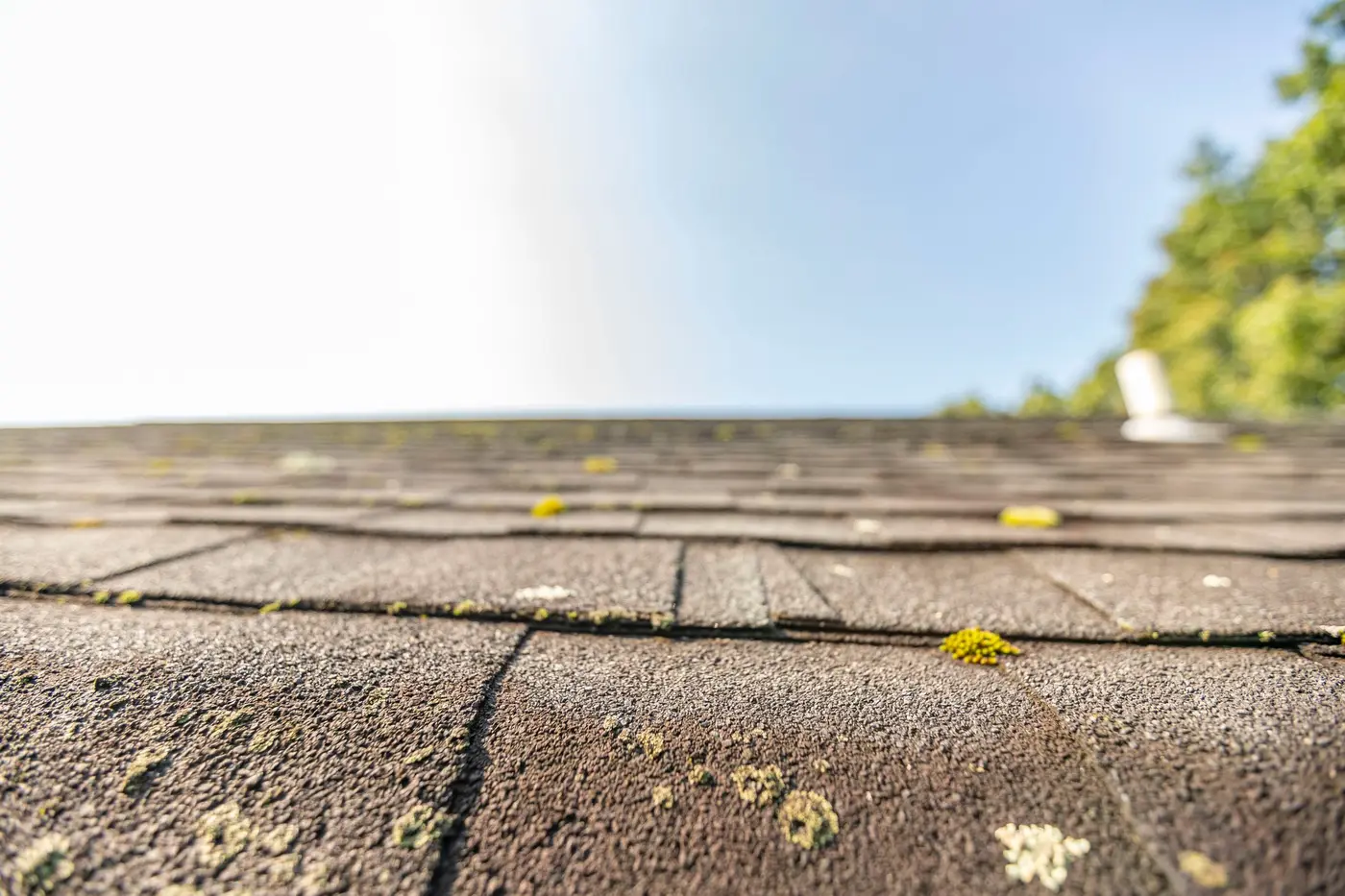 Technician soft washing a roof