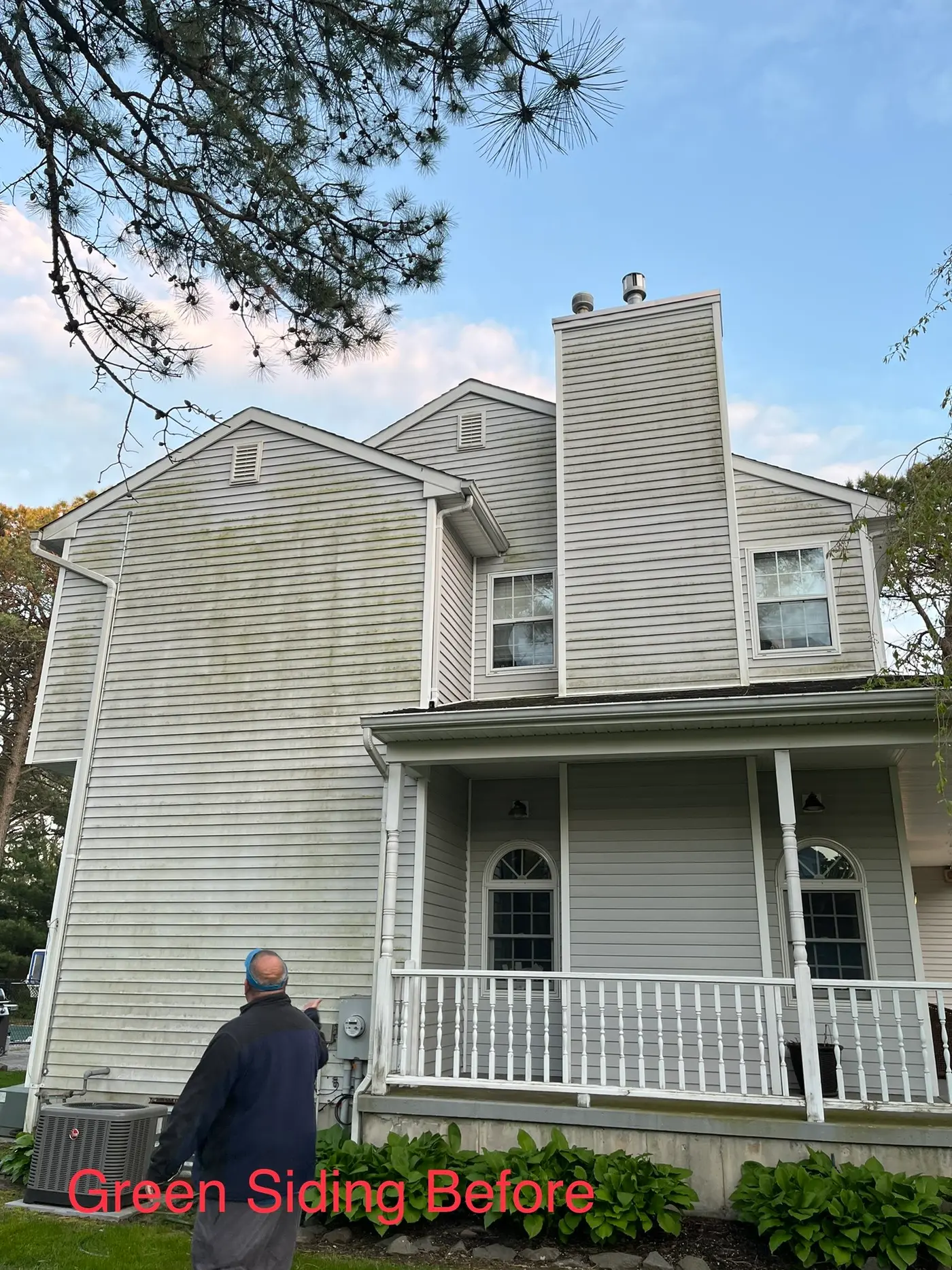 Green algae on house siding before soft washing